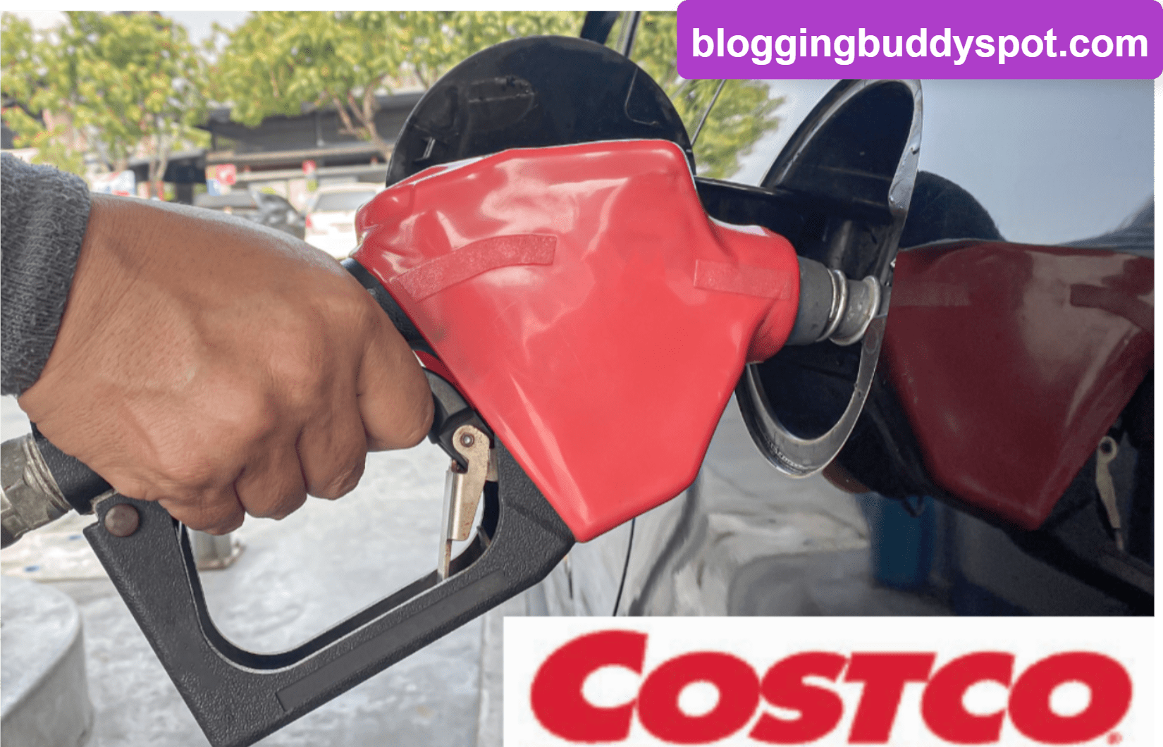 Costco Gas Prices: Affordable Fuel for Your Daily Commute