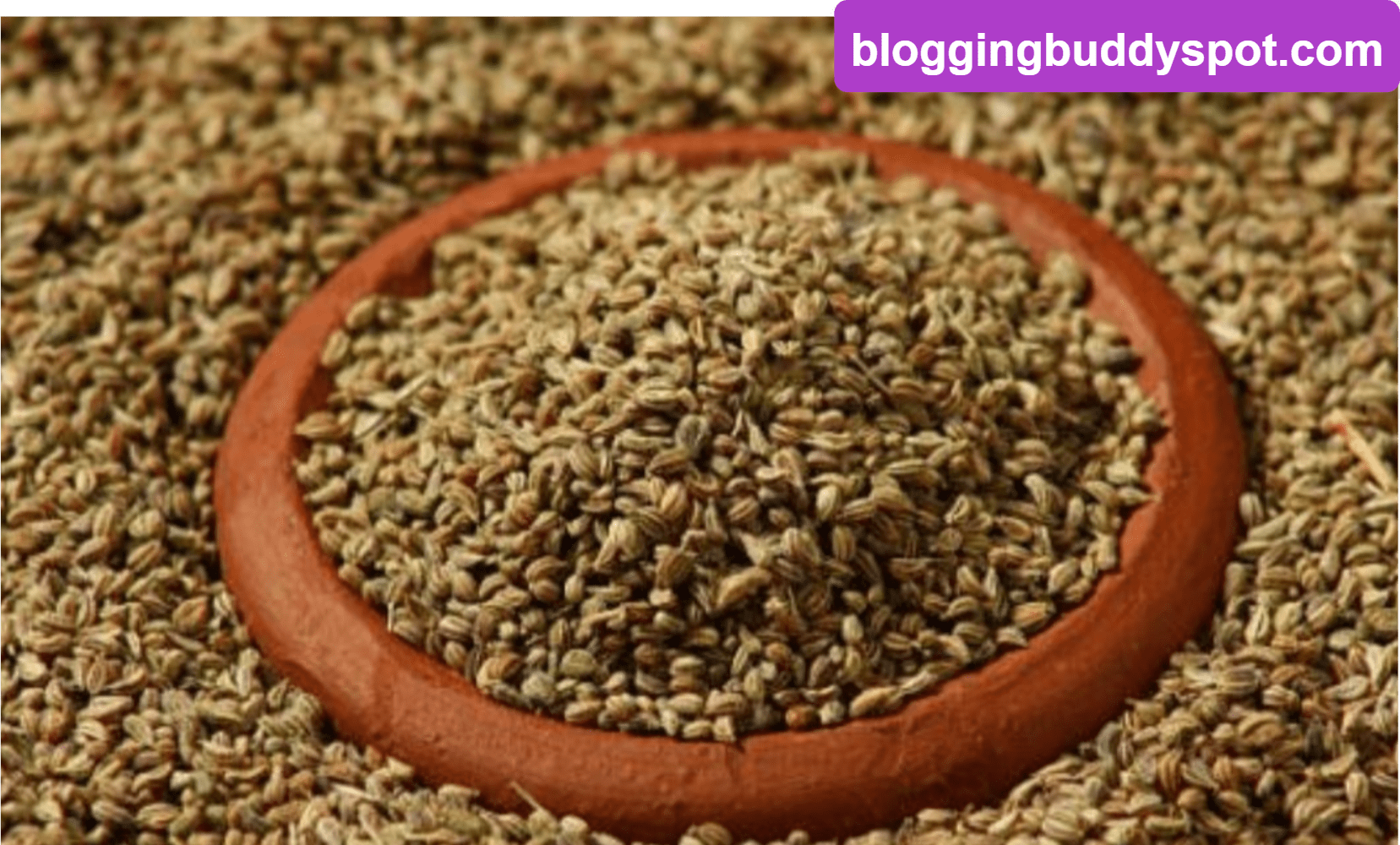 Ajwain Seeds: Exploring Health Advantages, Uses, and Potential Side Effects